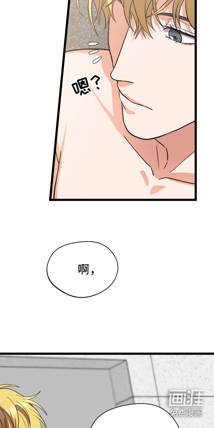 第37章：提议