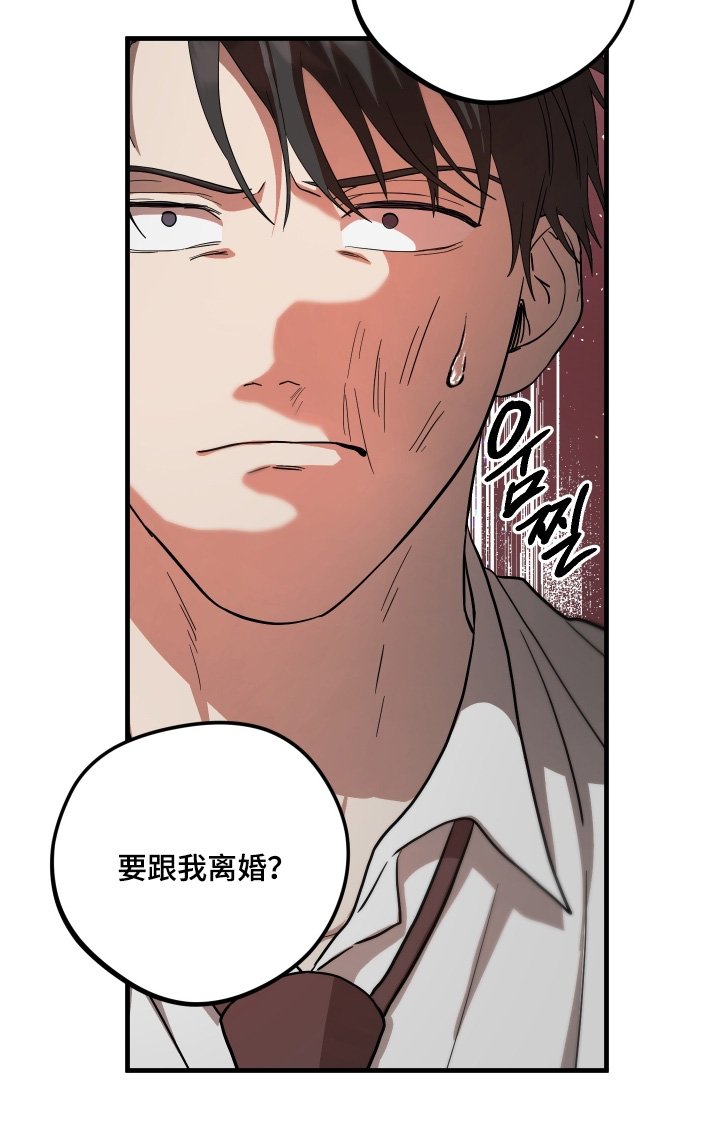 第54章：【第二季】离婚吧