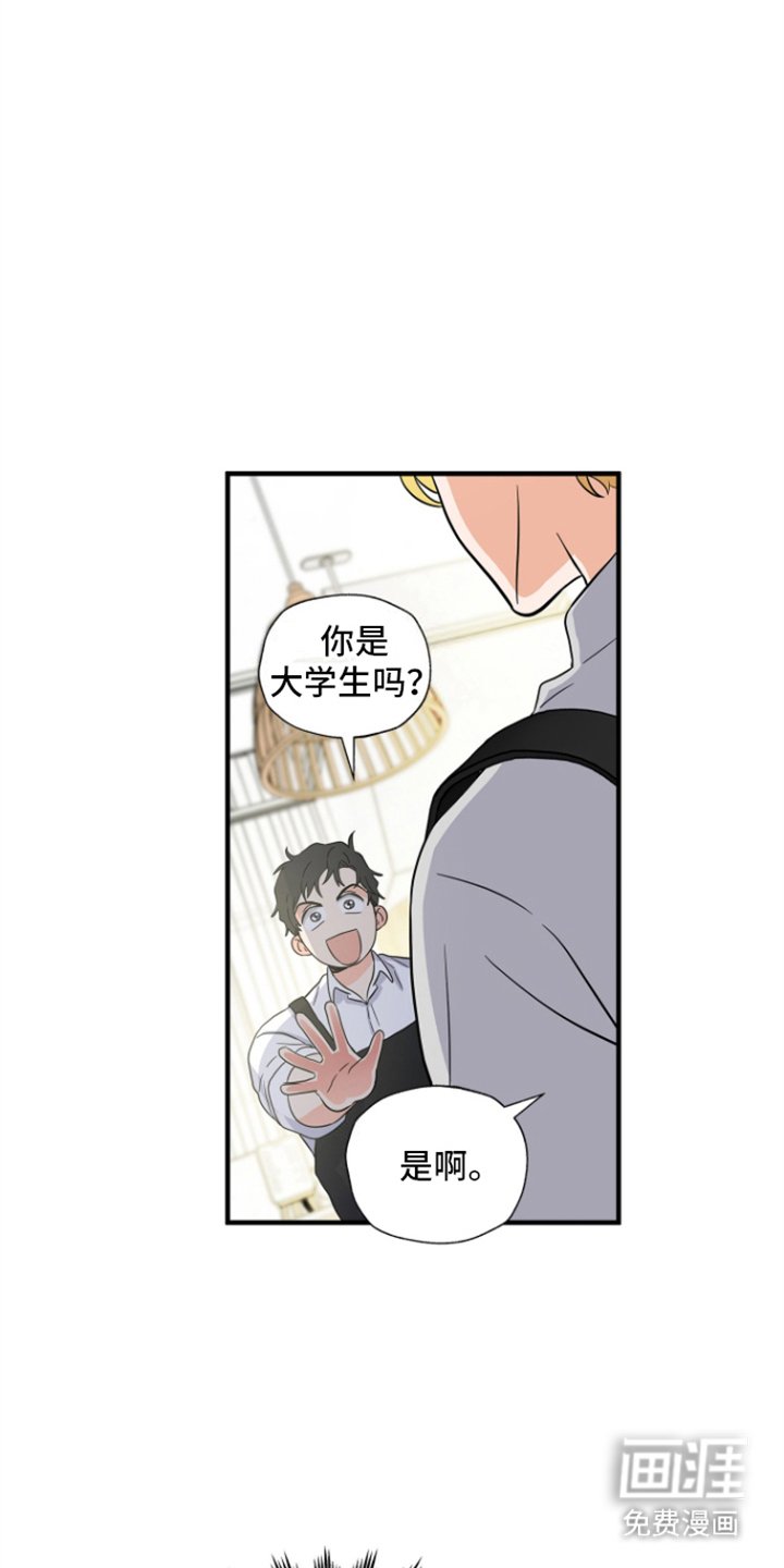 第6章：免费兼职