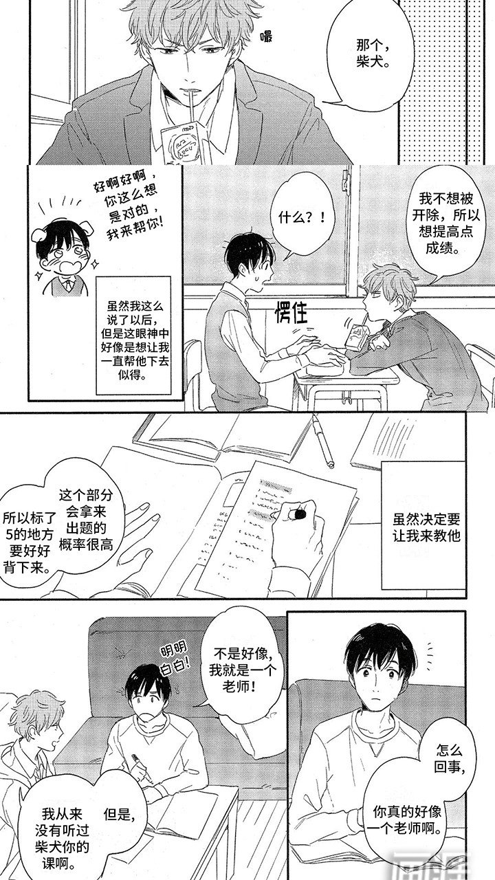 第12章：情侣教学