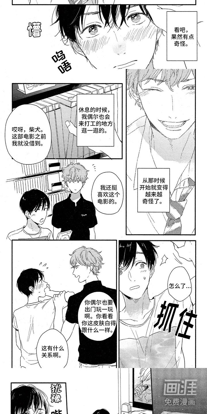 第8章：借用