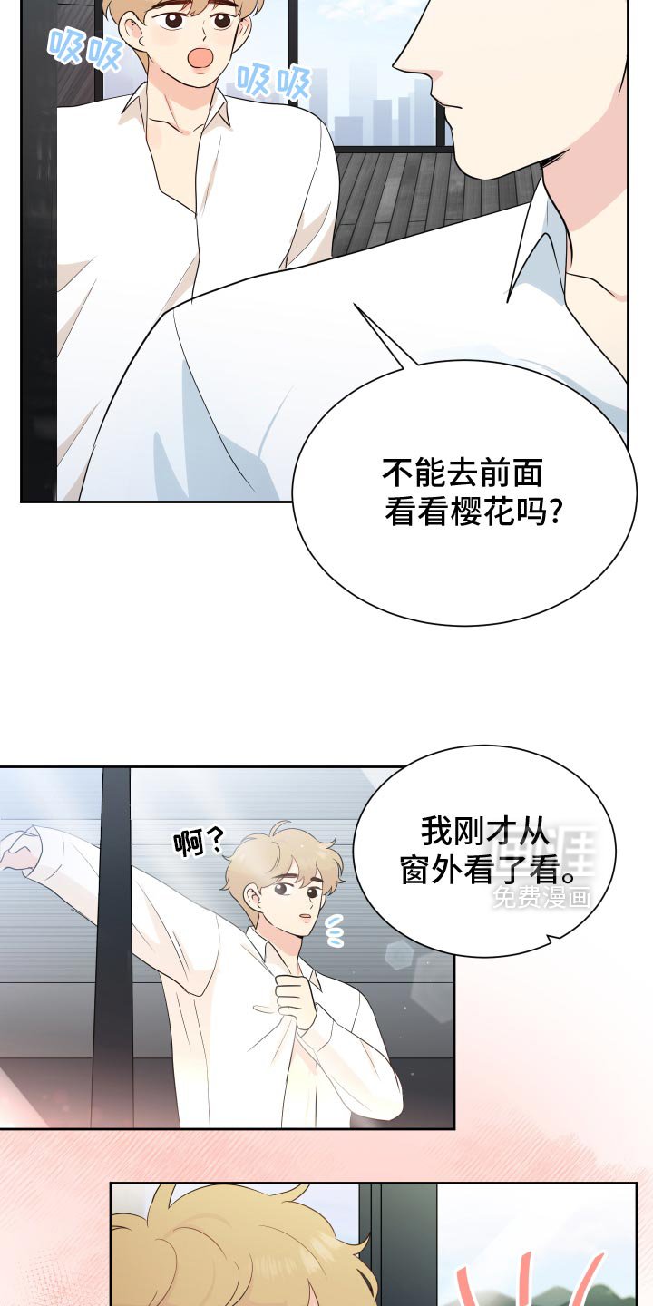 第37章：是因为脸吗