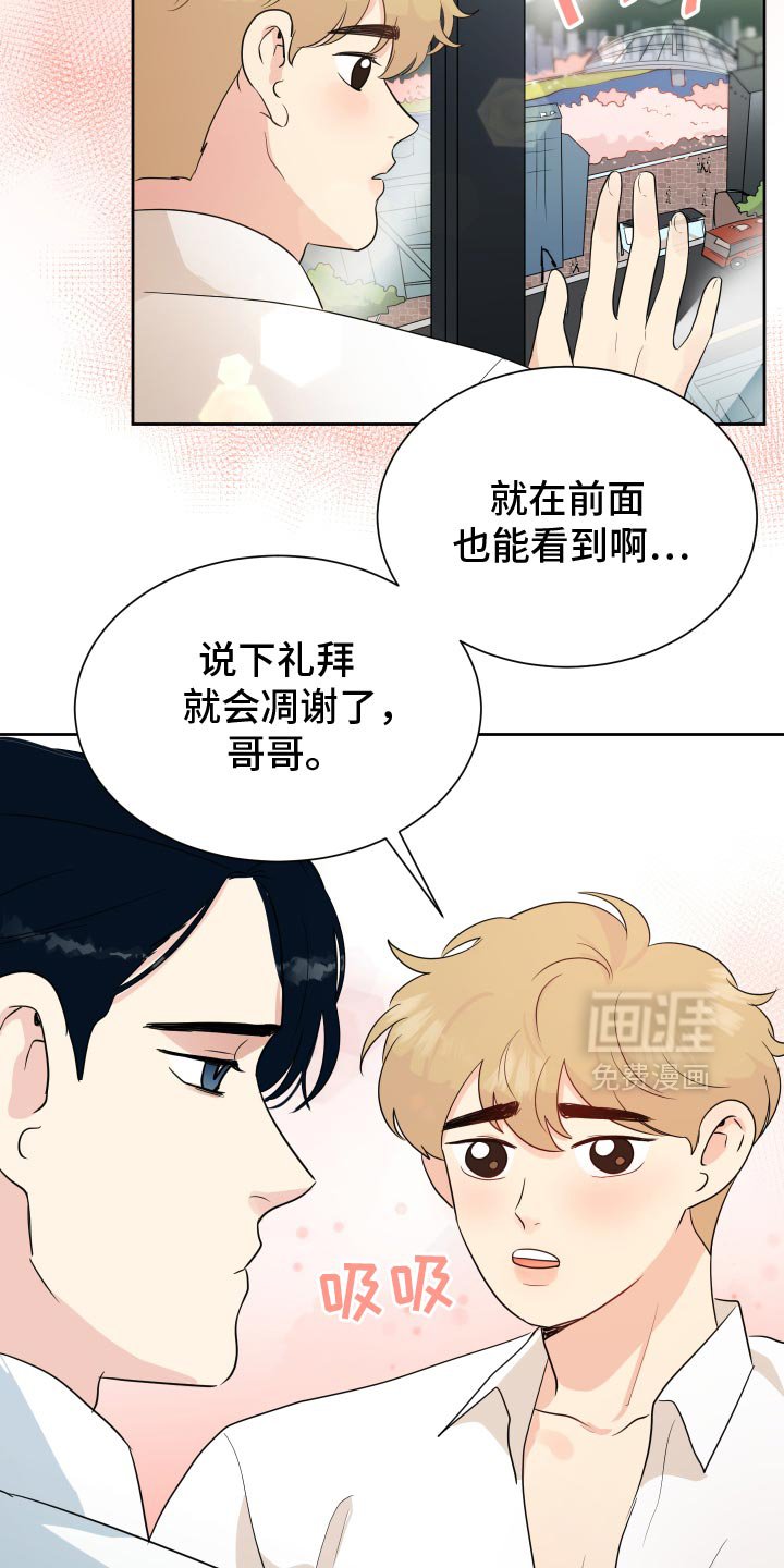 第37章：是因为脸吗