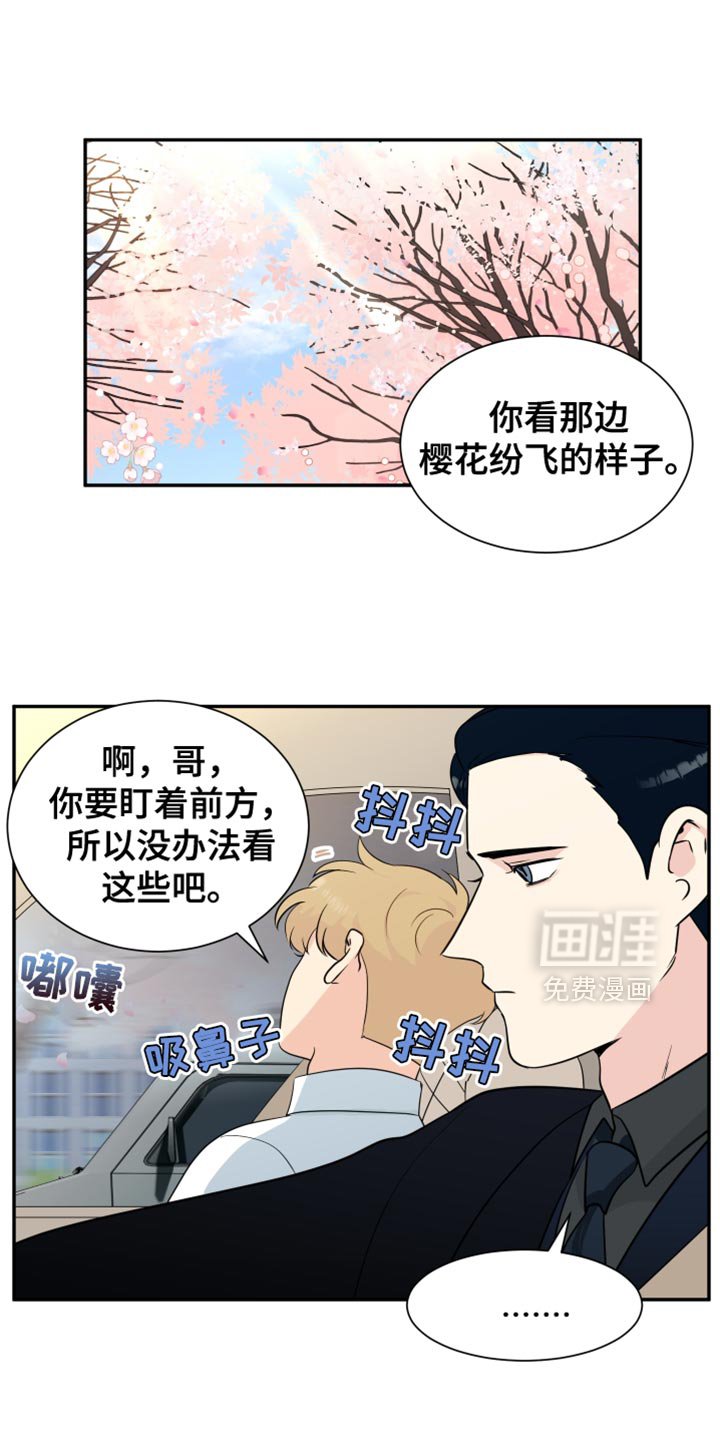 第38章：赏花