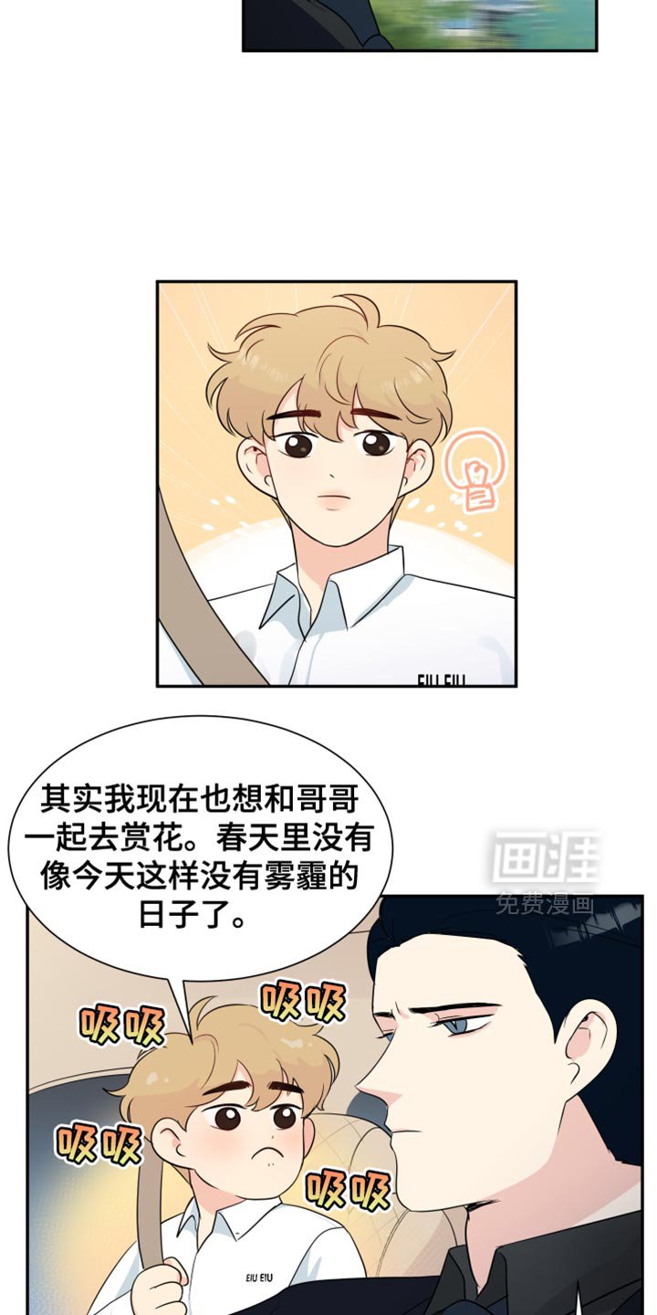 第38章：赏花