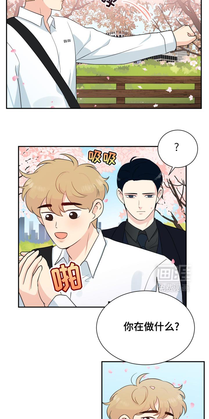 第38章：赏花