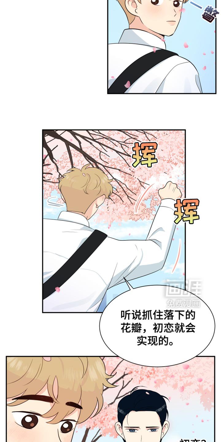 第38章：赏花