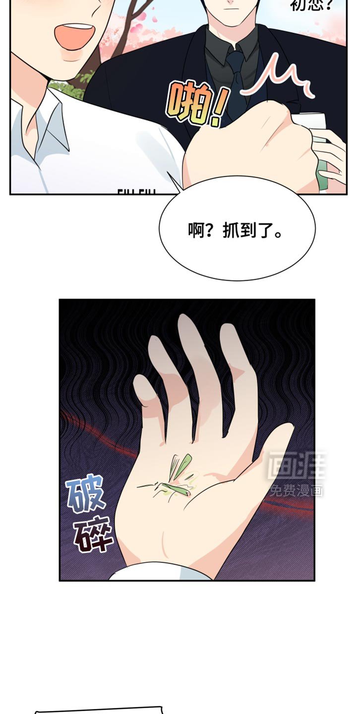 第38章：赏花