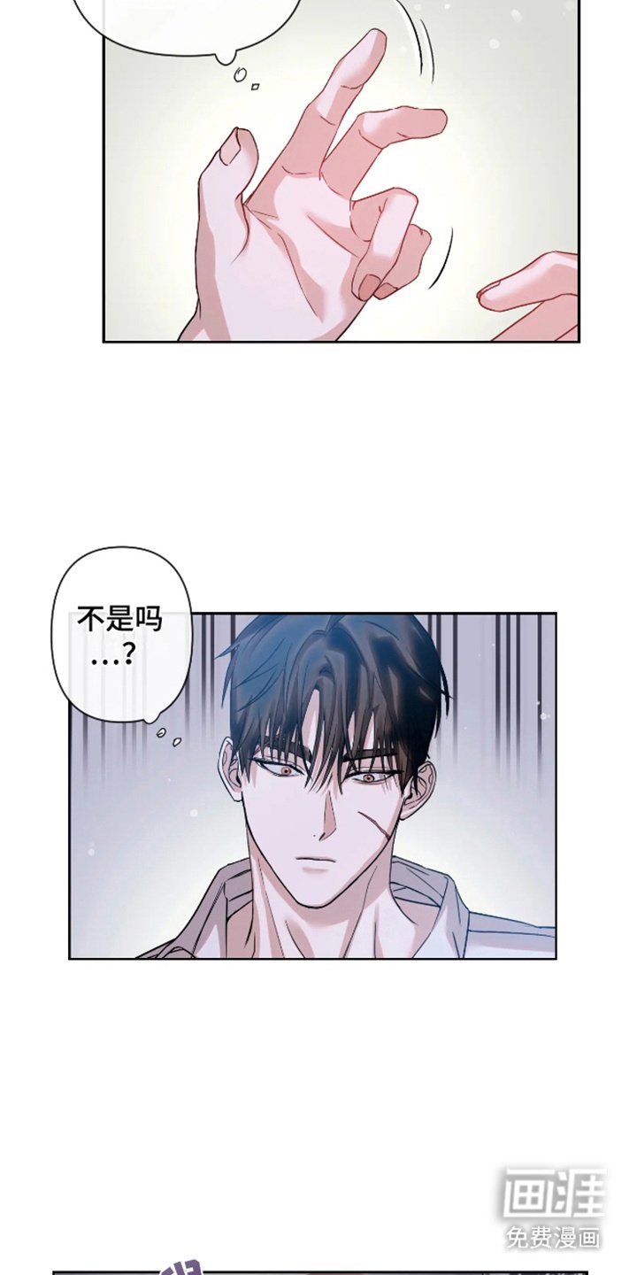 第6章：倾注爱意（完结）