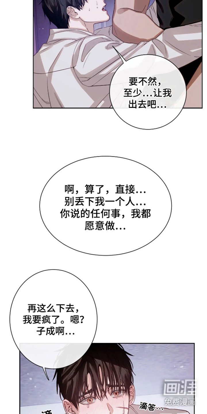 第6章：倾注爱意（完结）