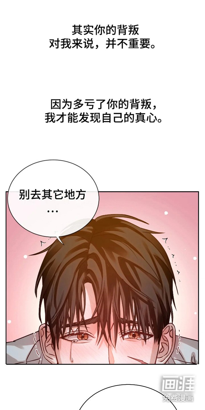 第6章：倾注爱意（完结）