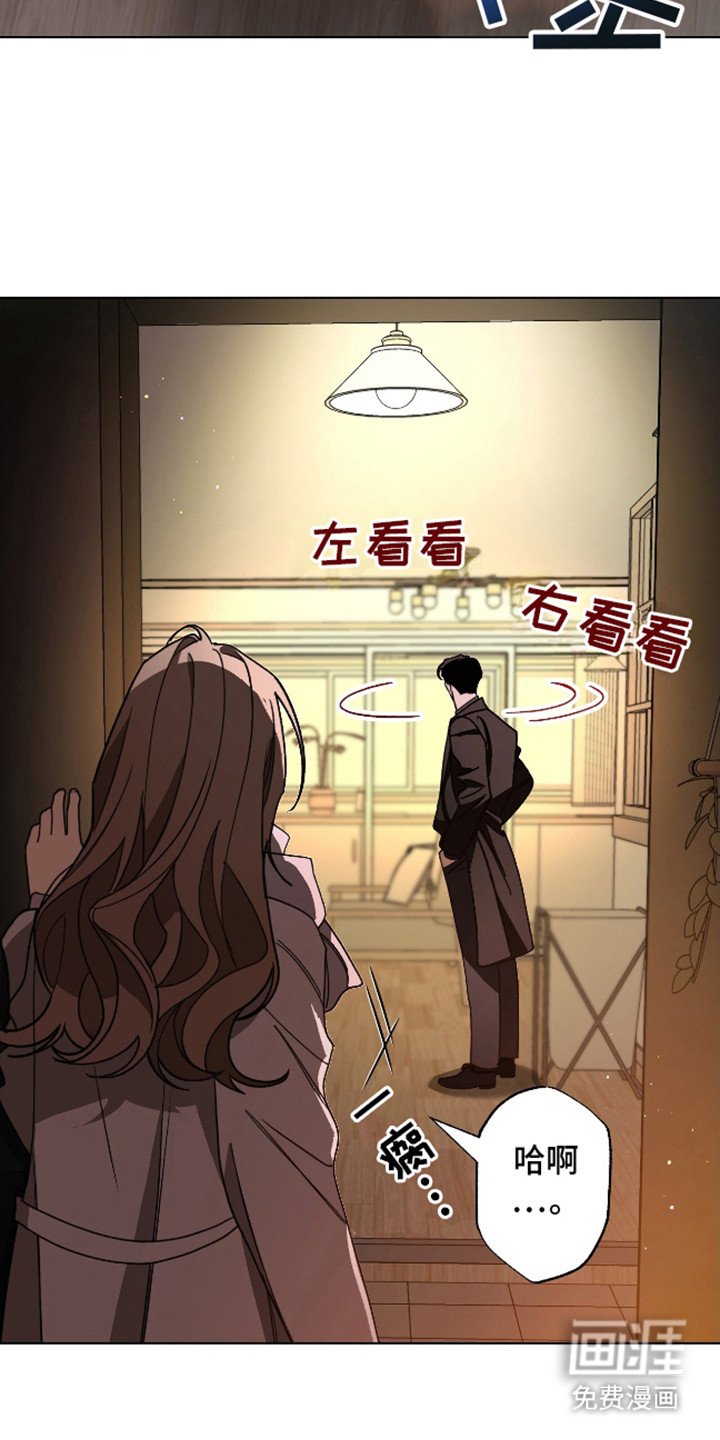 第16章：针孔摄像头