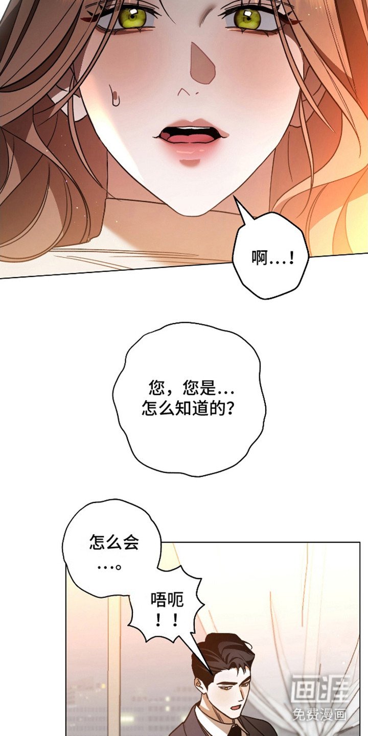 第2章：怀孕了