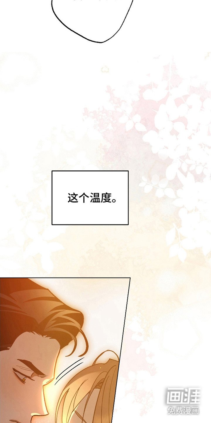 第20章：释放本能