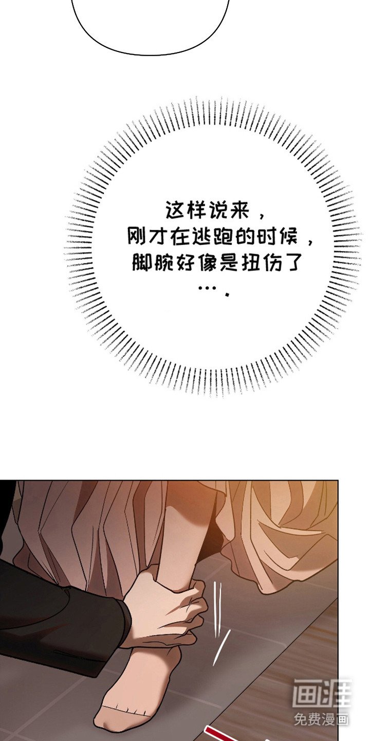 第20章：释放本能