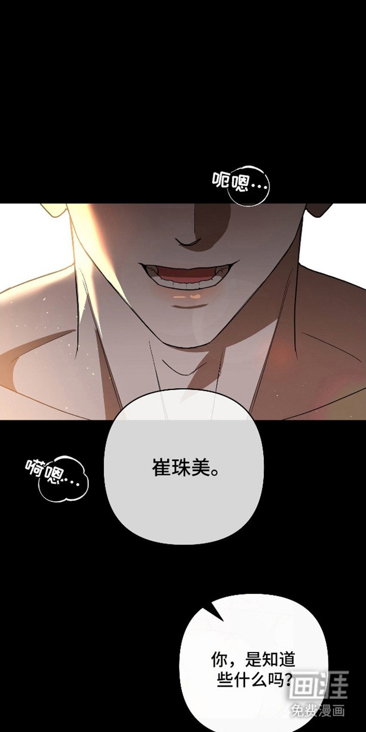 第3章：必然的结果