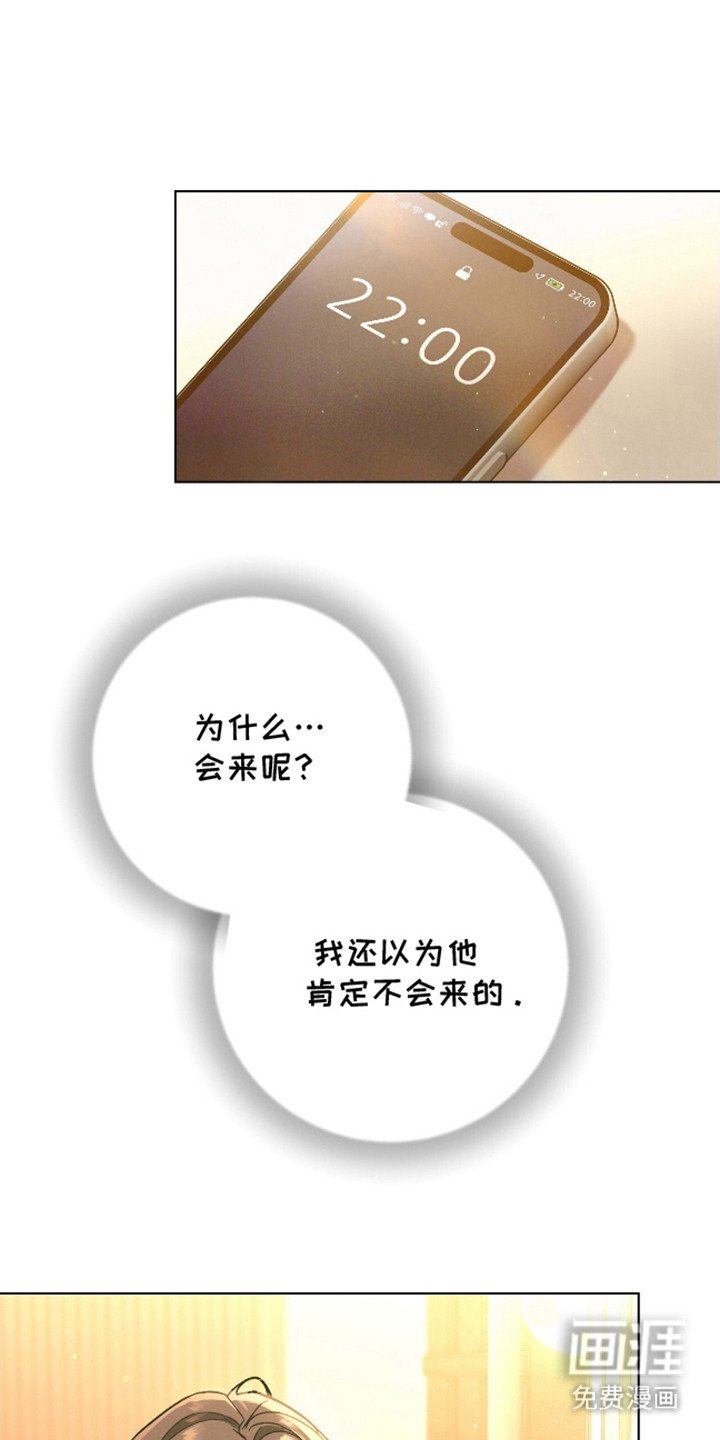 第4章：代表理事