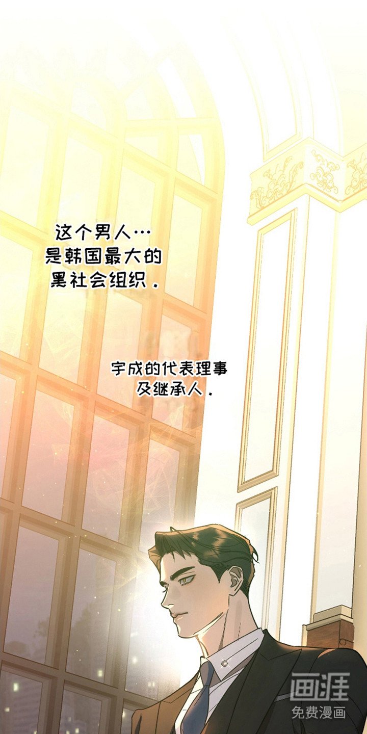 第4章：代表理事