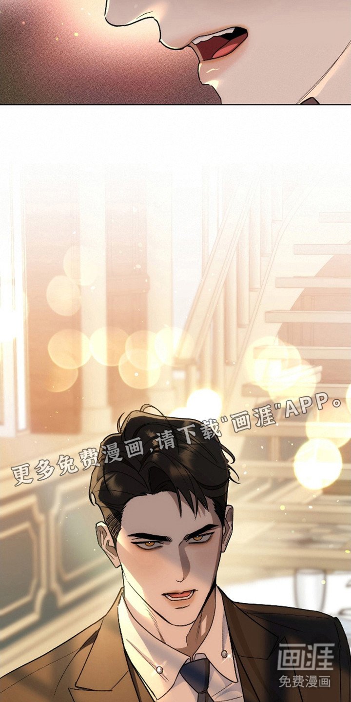 第4章：代表理事