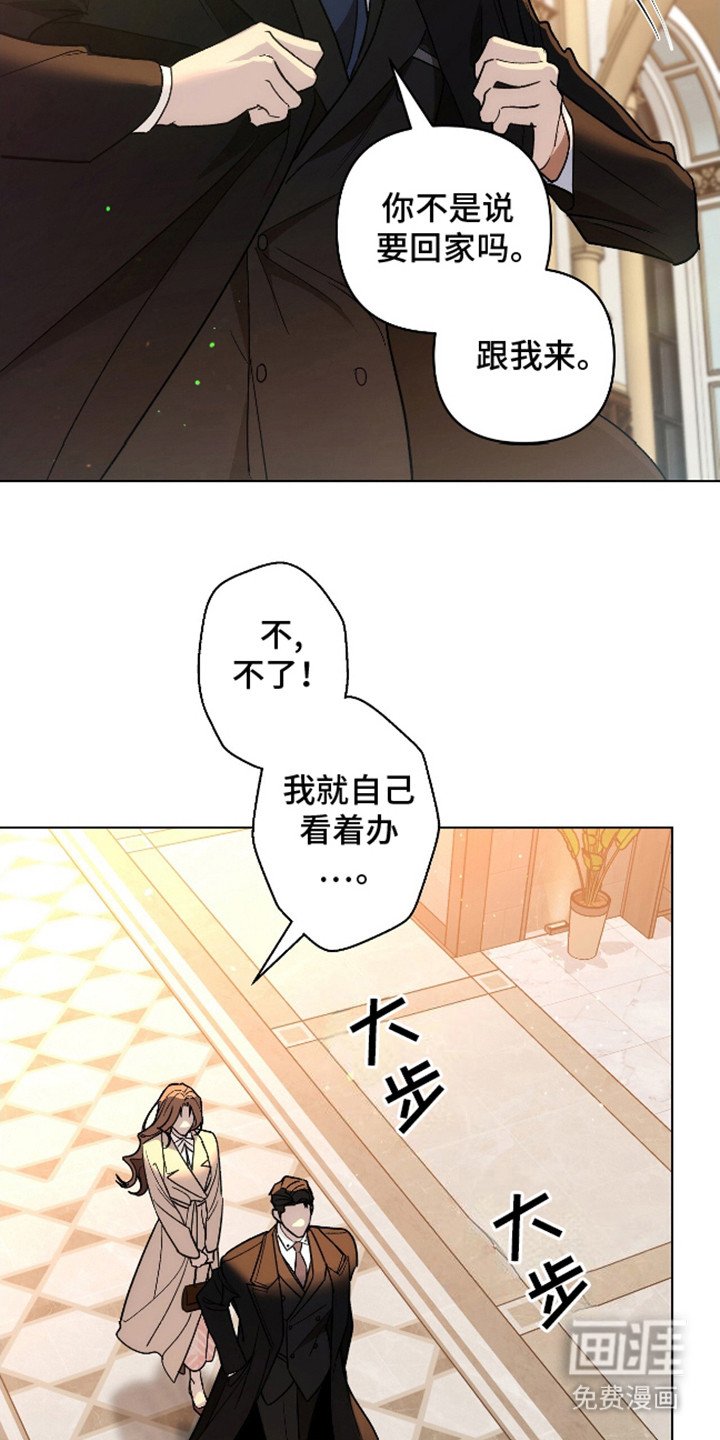 第5章：送回家