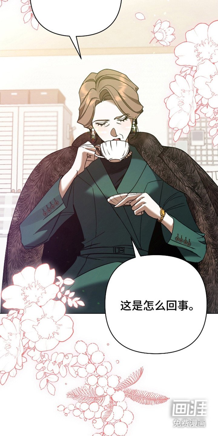 第8章：错觉