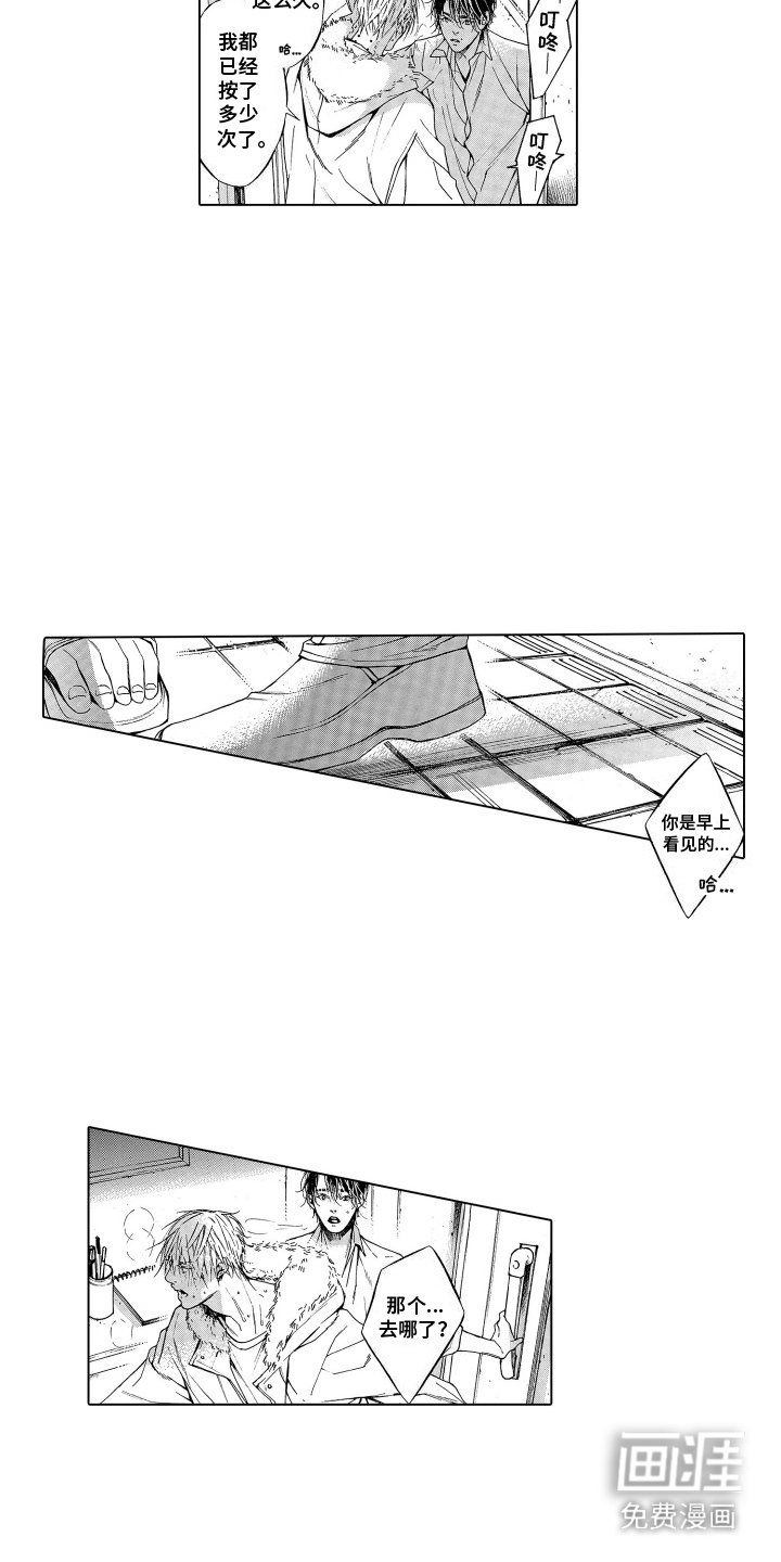 第5章：小提琴
