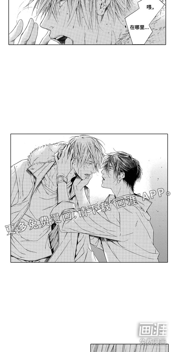 第5章：小提琴