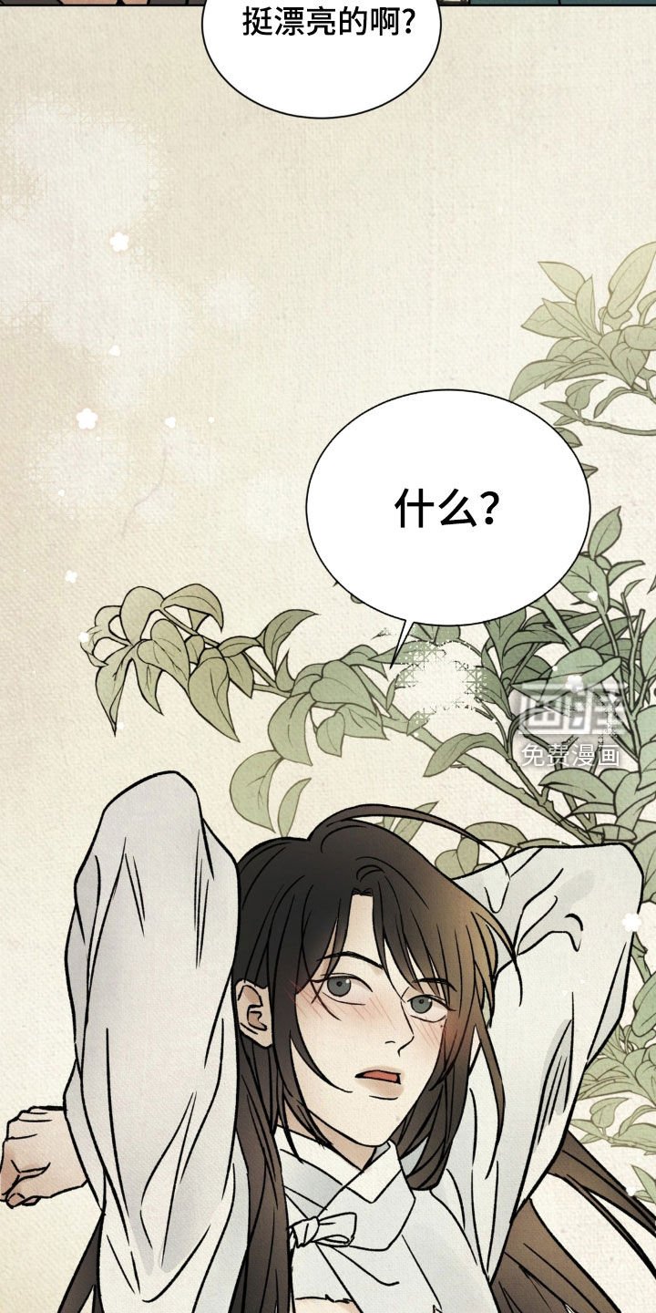 第23章：挺漂亮的