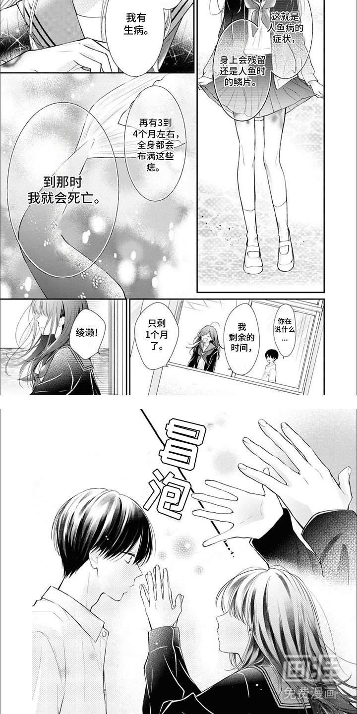 第15章：鳞片