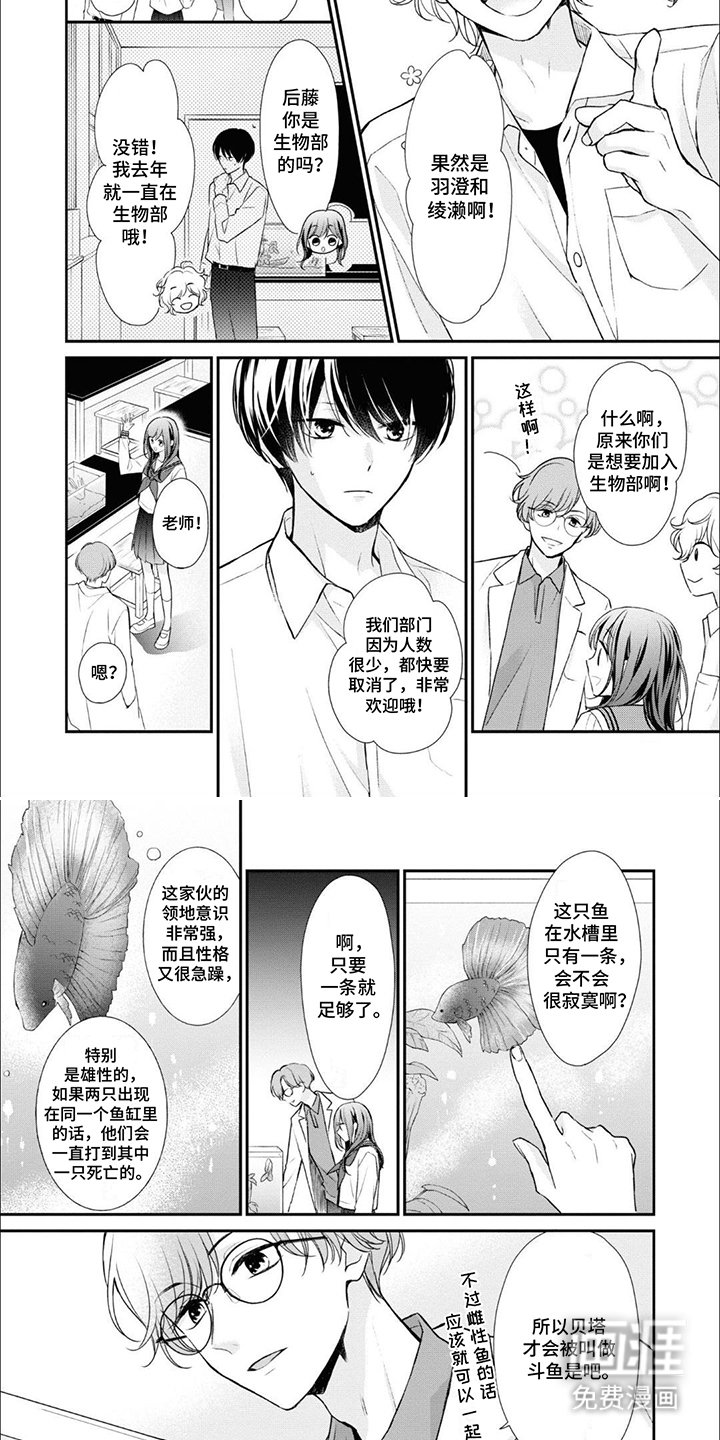 第5章：热带斗鱼
