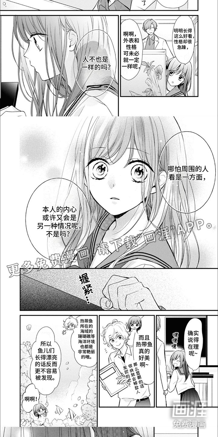 第5章：热带斗鱼