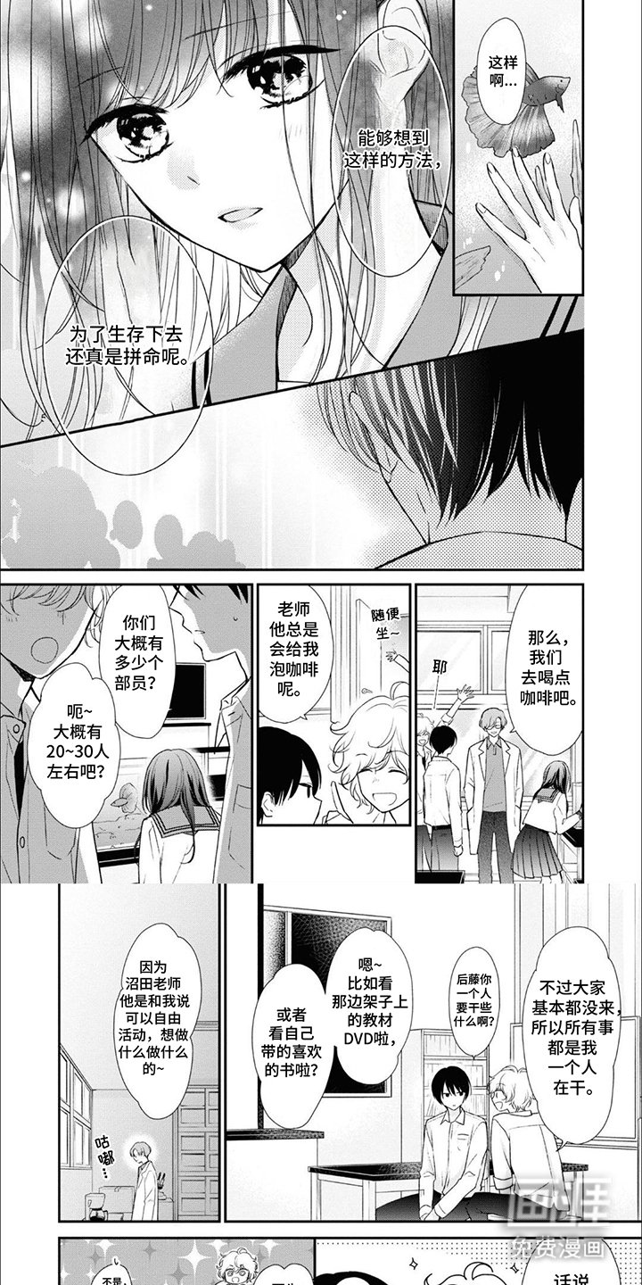 第5章：热带斗鱼