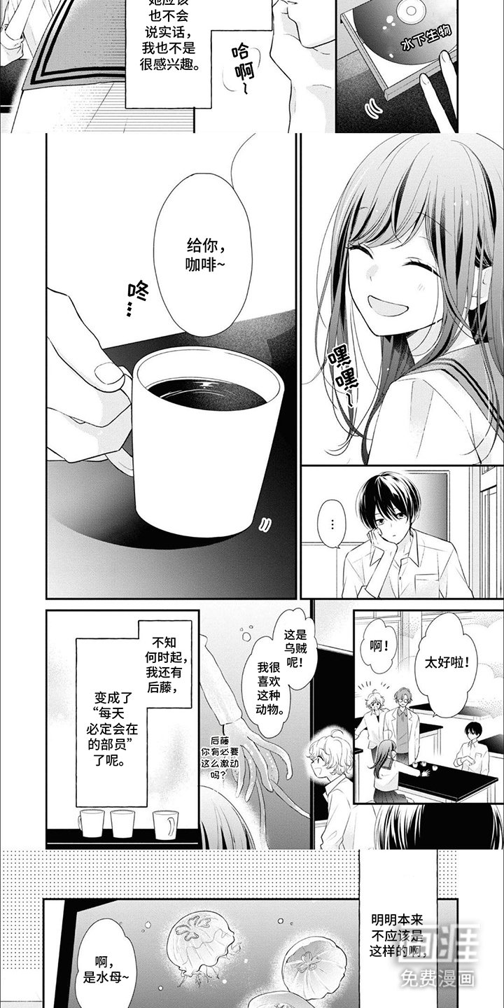 第9章：水母