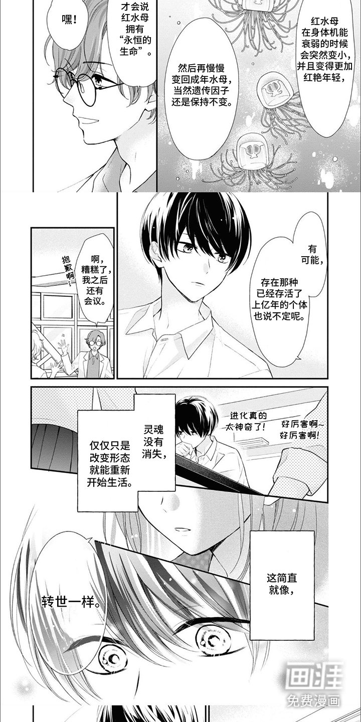 第9章：水母