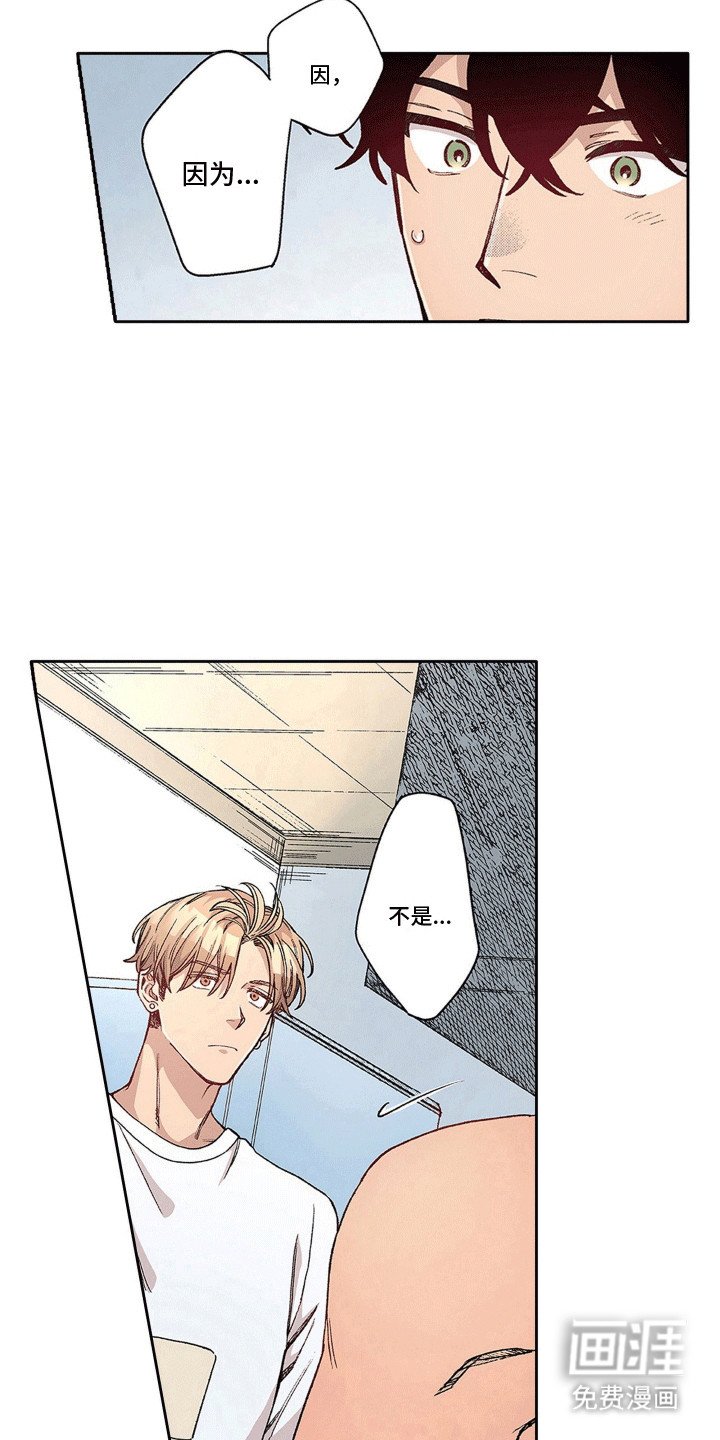 第19章：纠结