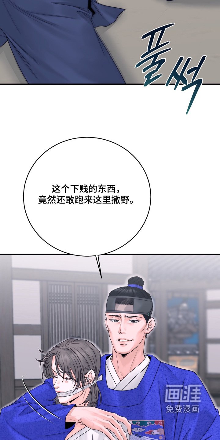 第12章：放开他