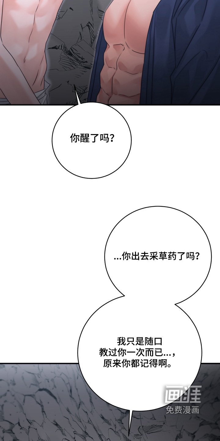 第16章：不要走