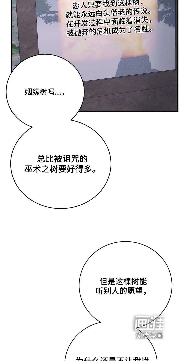 第21章：我来晚了【完结】