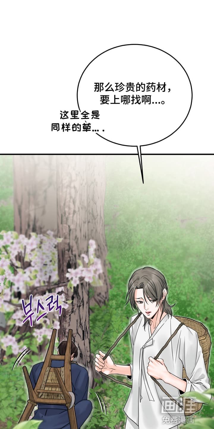 第8章：上山采药