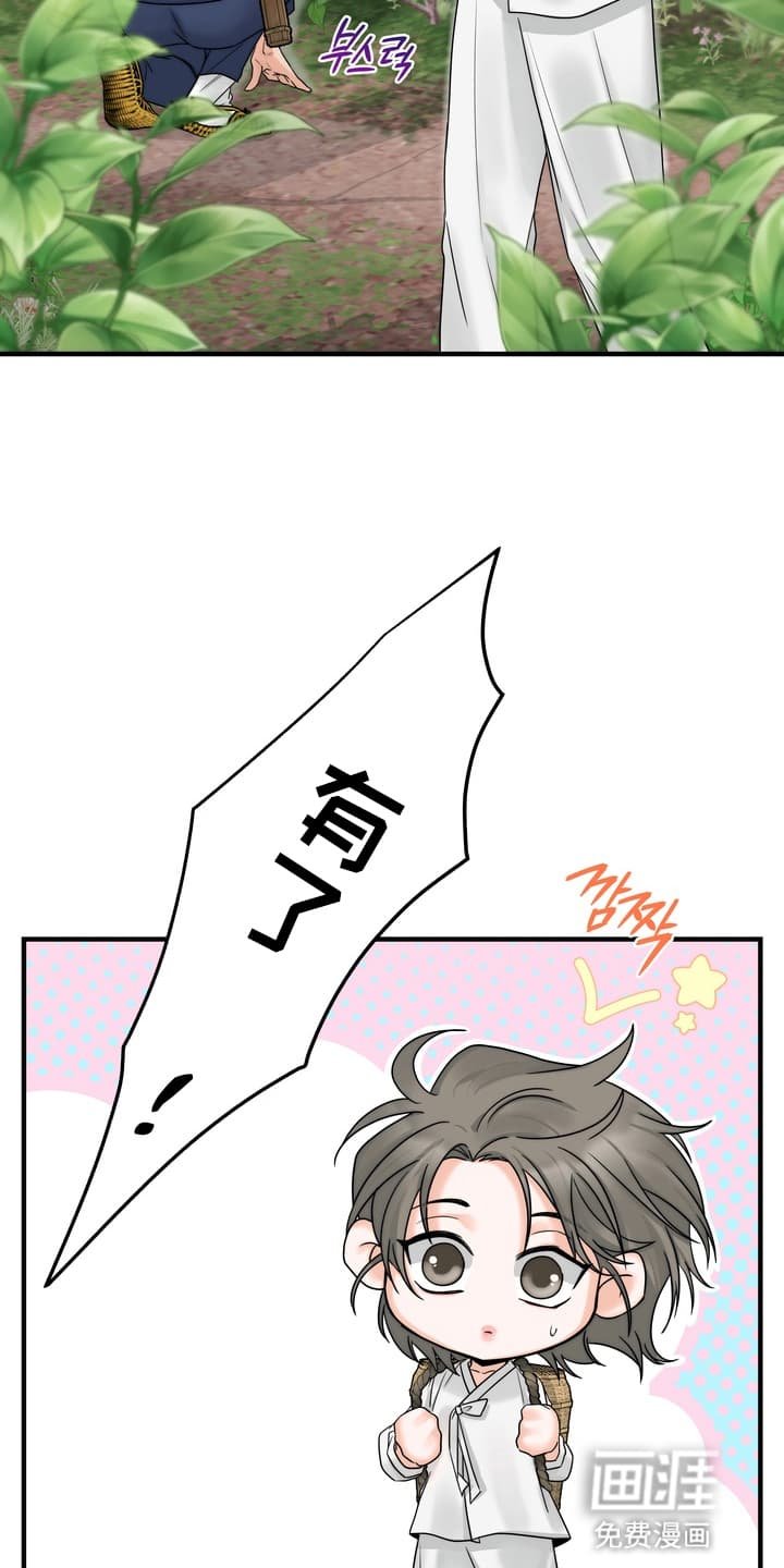 第8章：上山采药