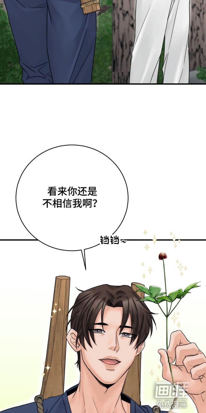 第8章：上山采药