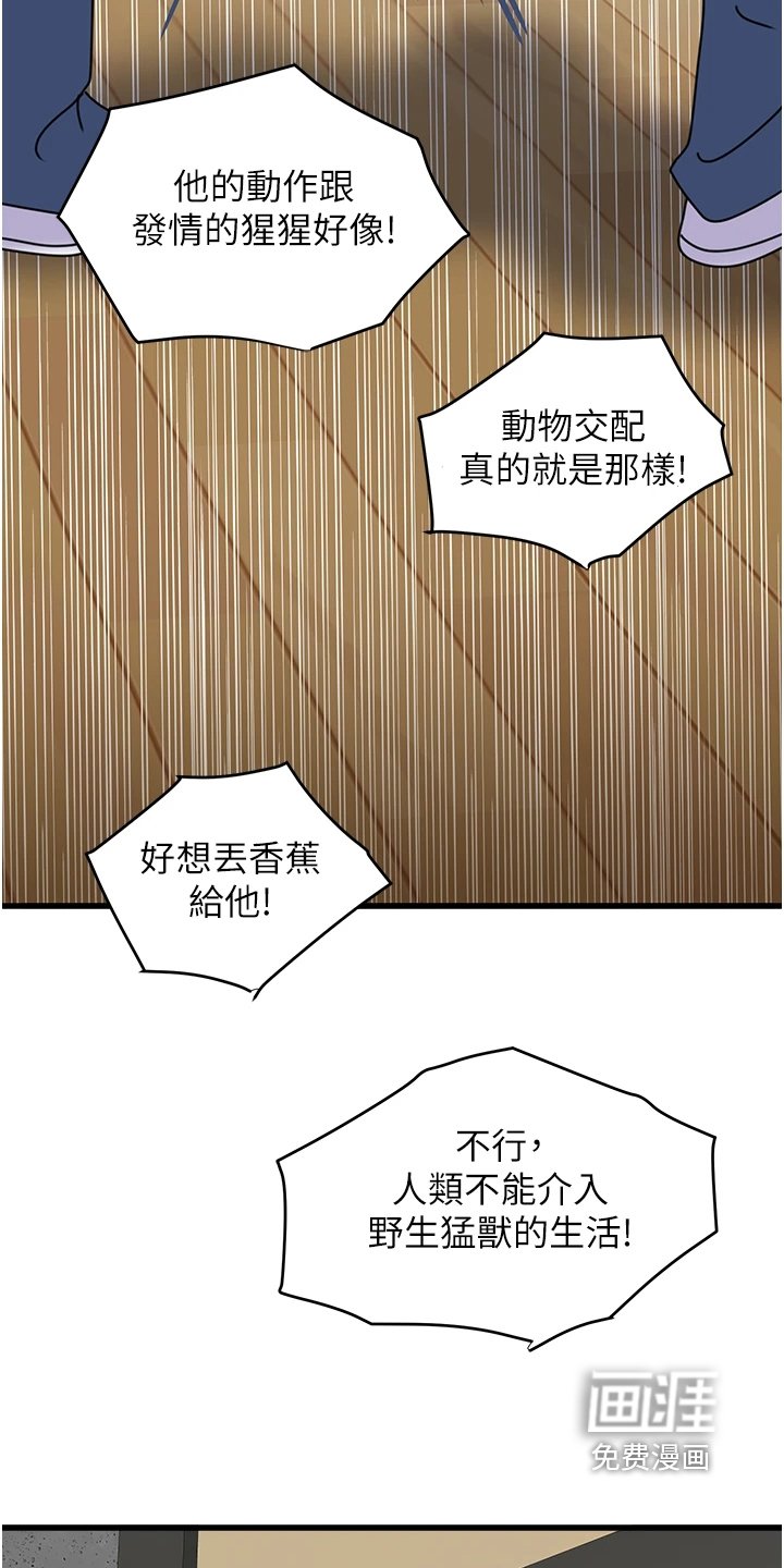 第25章：我来表演
