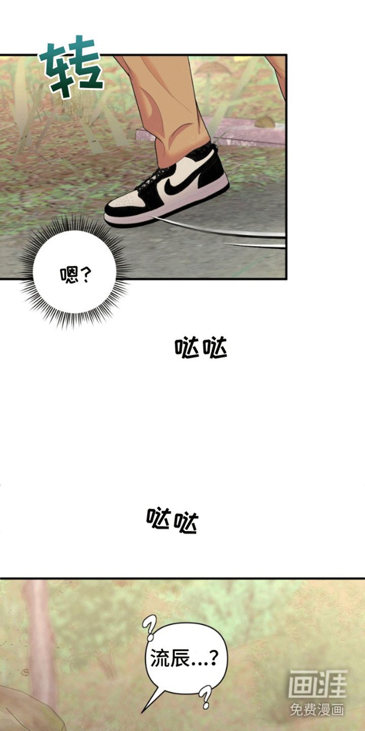 第5章：我来帮你吧