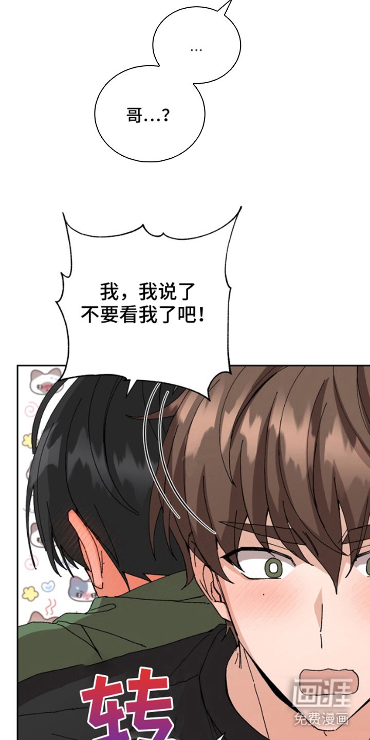 第10章：多4倍