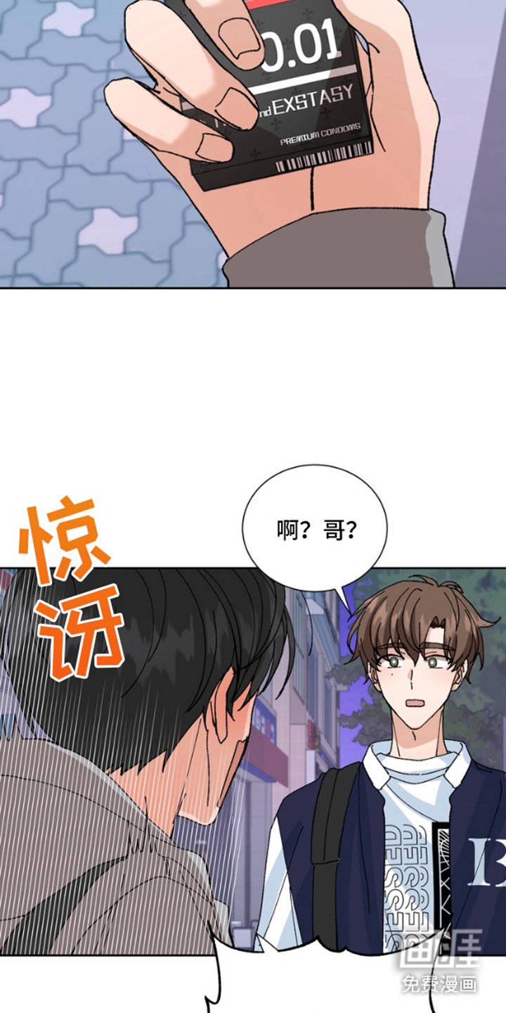 第12章：保险