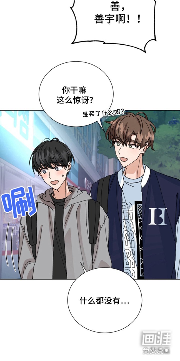 第12章：保险