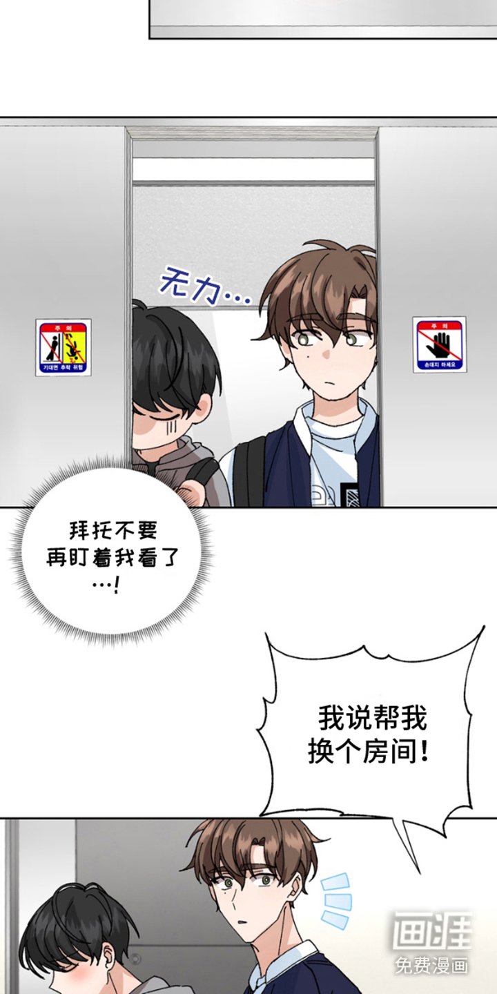 第12章：保险