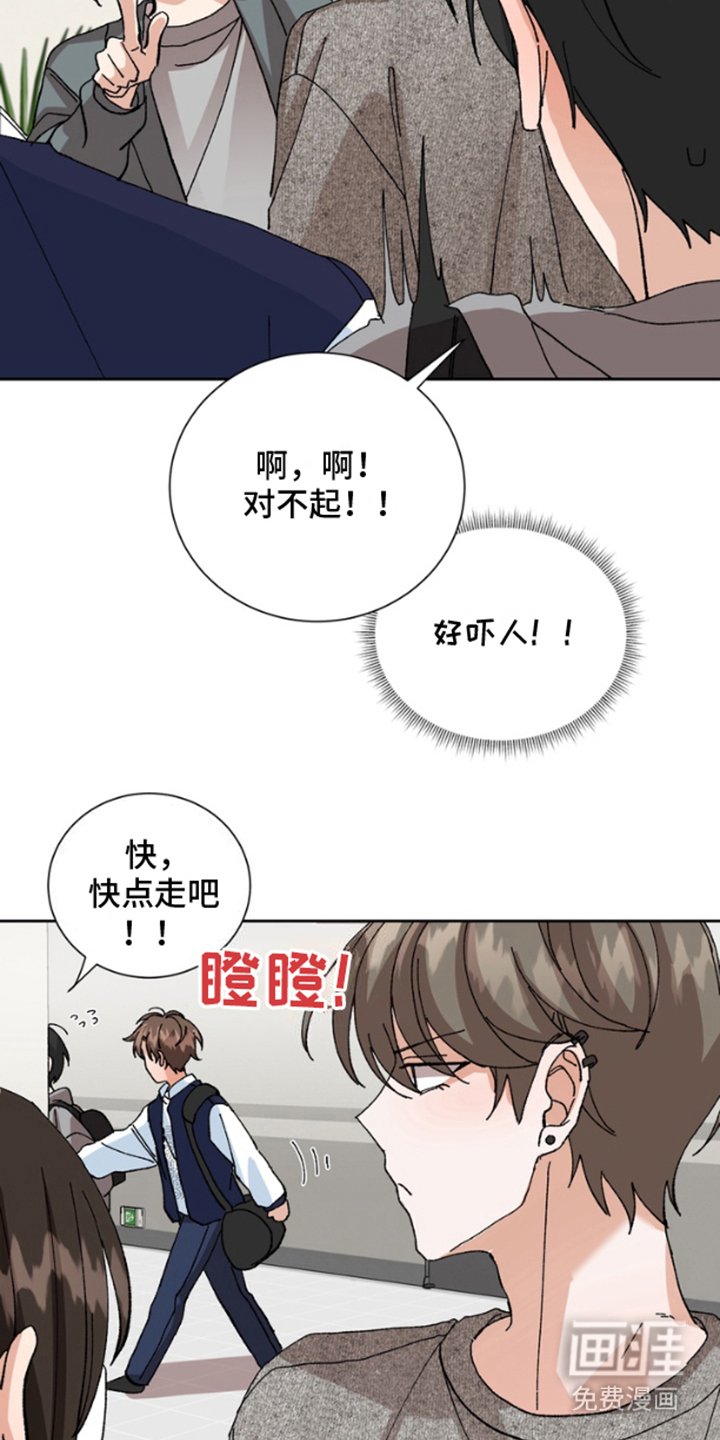 第12章：保险