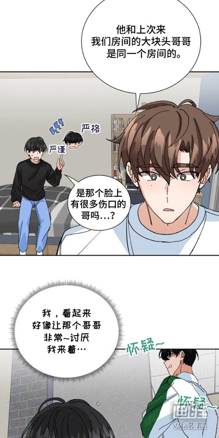 第12章：保险