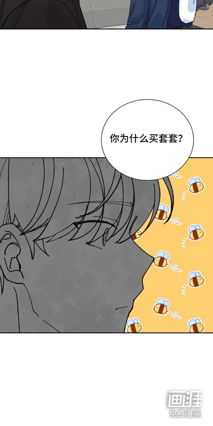 第12章：保险